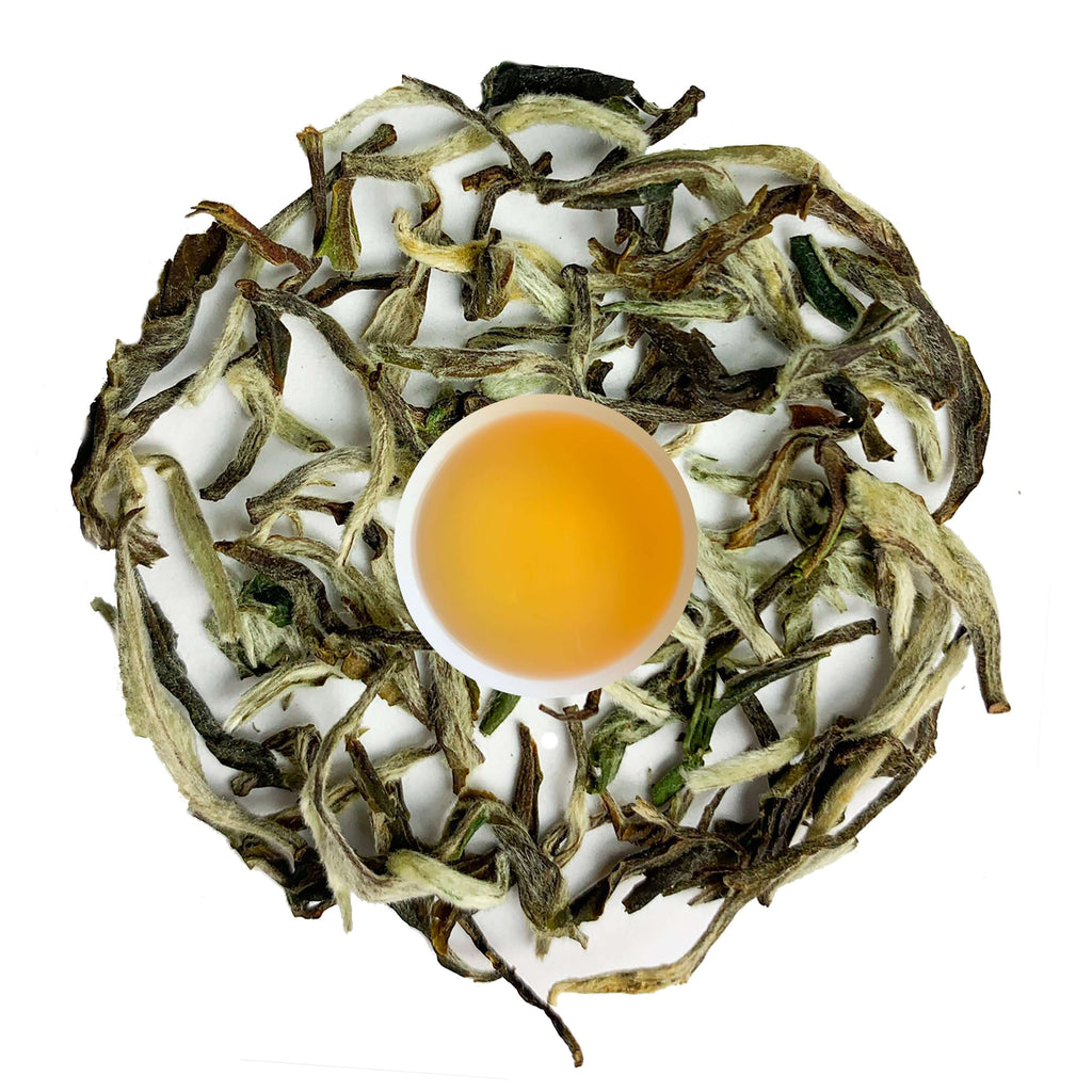 Himalayas Best White Tea -19° Loose Tea