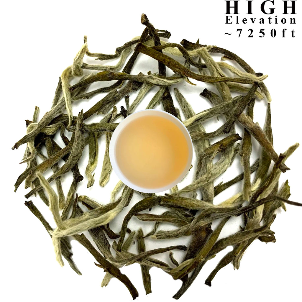 33° Silver Needle Tea