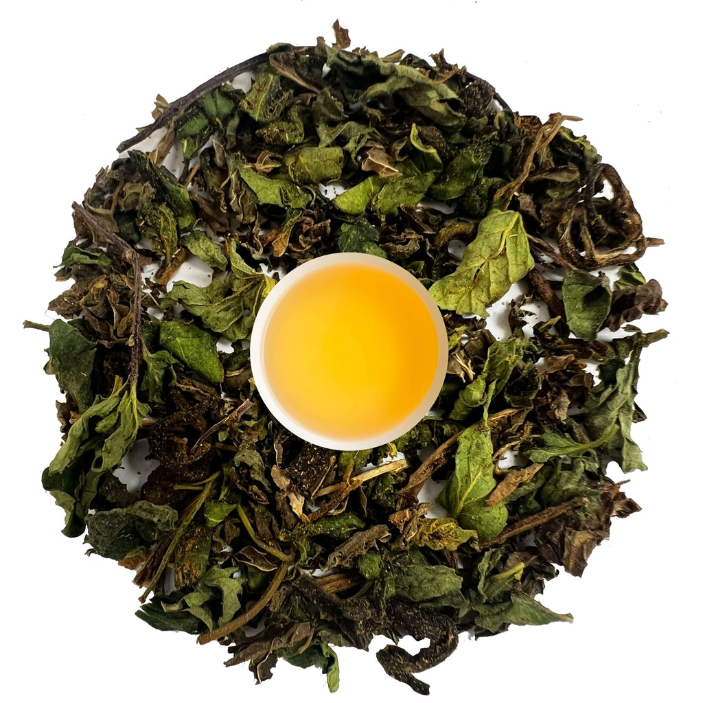 72 Spearmint PCOS Power Potion Tea in a cup surrounded by dried herbal leaves.